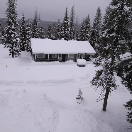Hippu Apartament