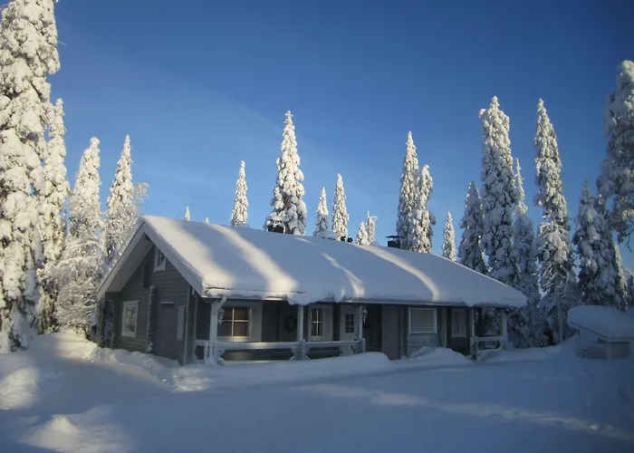 Hippu Huoneisto Ruka