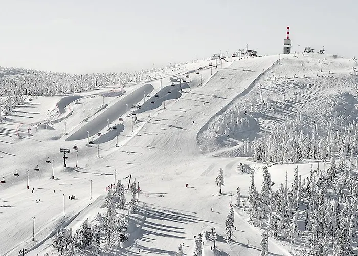 Hippu Huoneisto Ruka