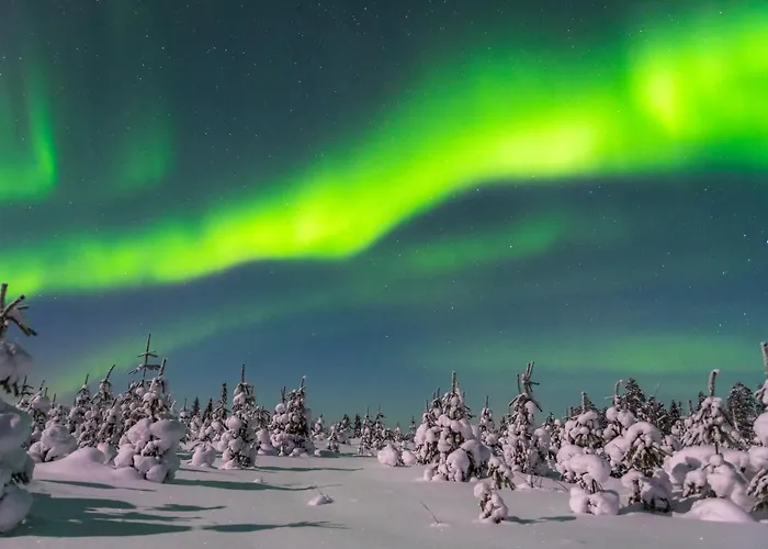 Hippu Huoneisto Ruka